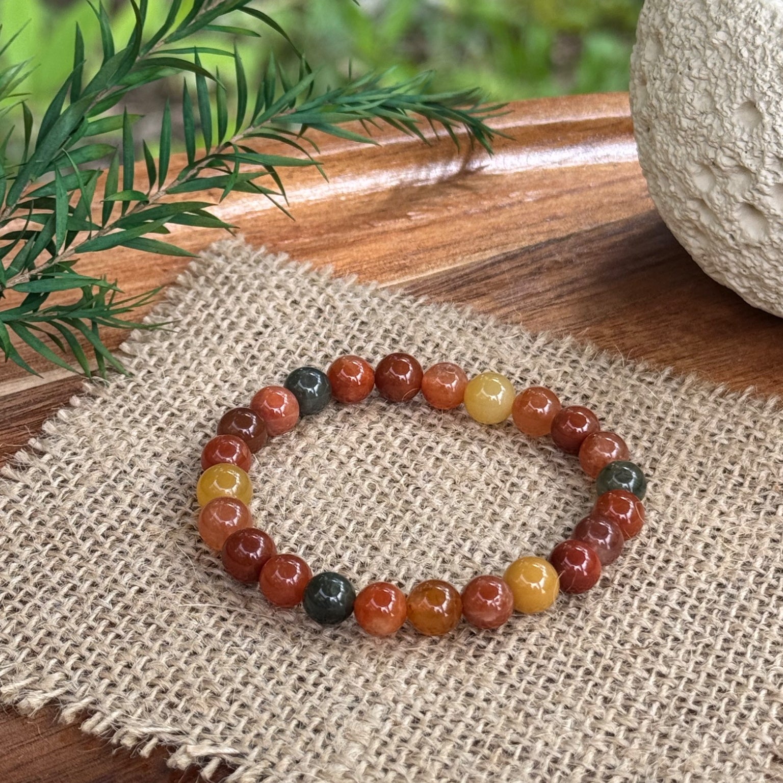 Amber Root | Abundance